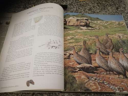 GAMEBIRDS OF SOUTHERN AFRICA ROB LITTLE TIM CROWE SIMON BARLOW (  Wildfowl  )