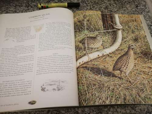 GAMEBIRDS OF SOUTHERN AFRICA ROB LITTLE TIM CROWE SIMON BARLOW (  Wildfowl  )