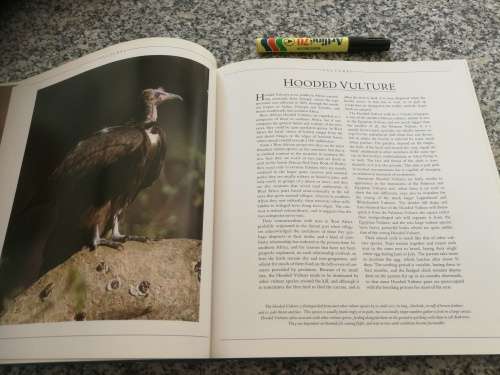 SOUTHERN AFRICA BIRDS OF PREY Peter and Beverly Pickford Warick Tarboton ( Eagles Vultures Owls   )