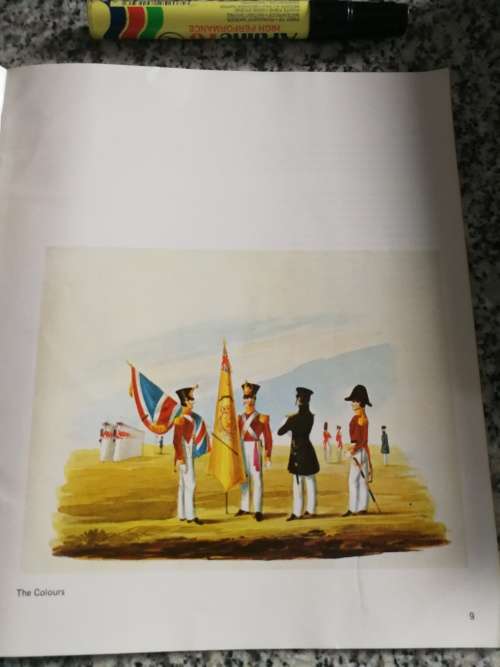 THE COSTUME OF THE 46th REGIMENT  by MICHAEL ANGELO HAYES 1837