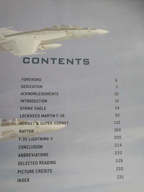 US MULTI ROLE FIGHTER JETS STEVE DAVIES ( Fighter Jets Aircraft Flight  aviation  )