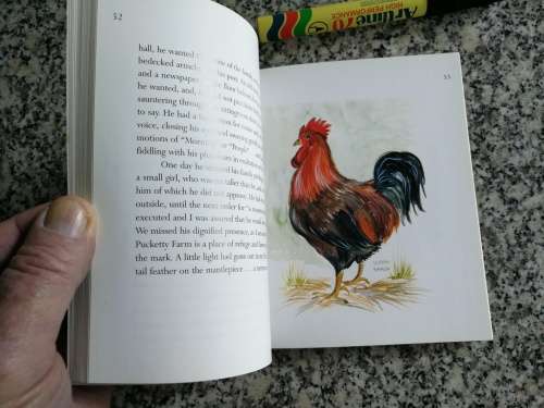PUCKETTY FARM written & Illustrated by SERENA SHAW  signed by the author Please note the description