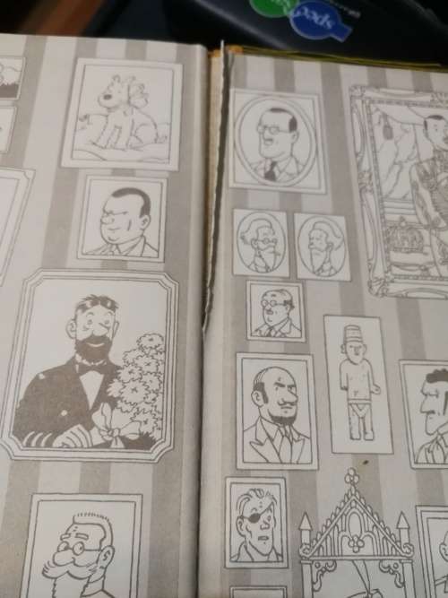The BOOK of the FILM TINTIN AND THE GOLDEN FLEECE