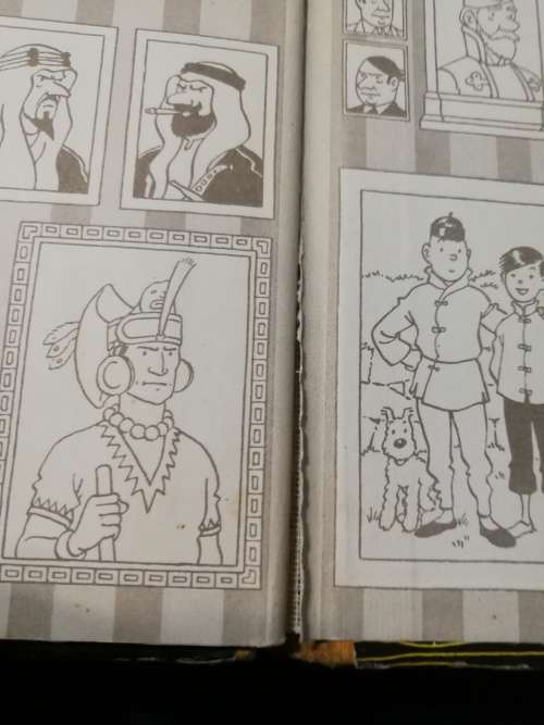 The BOOK of the FILM TINTIN AND THE GOLDEN FLEECE