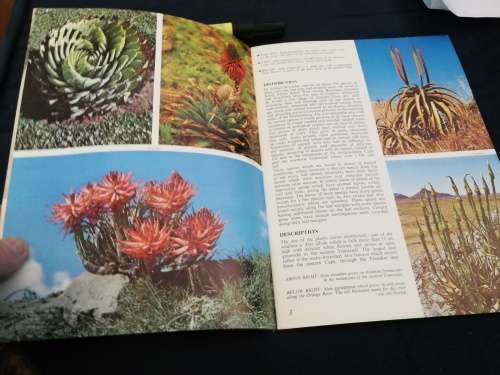 PRIDE OF SOUTH AFRICA ALOES BARBARA JEPPE ( Booklet )