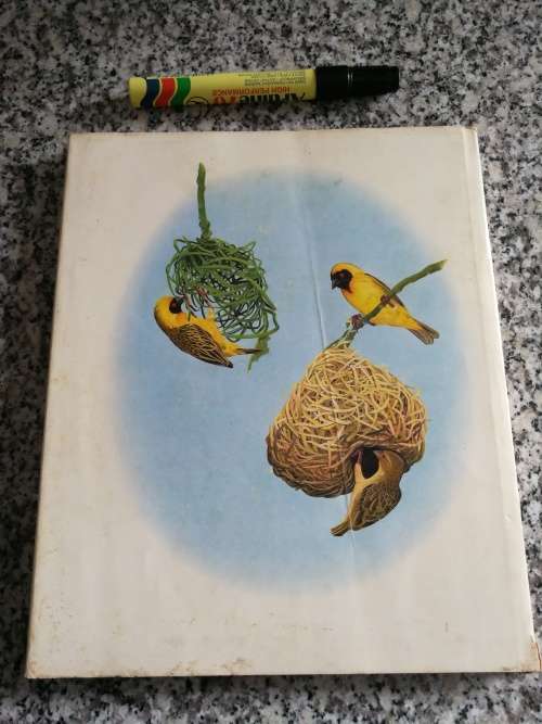KENNETH NEWMAN GARDEN BIRDS OF SOUTH AFRICA A HOUSEHOLD GUIDE TO COMMON BIRDS