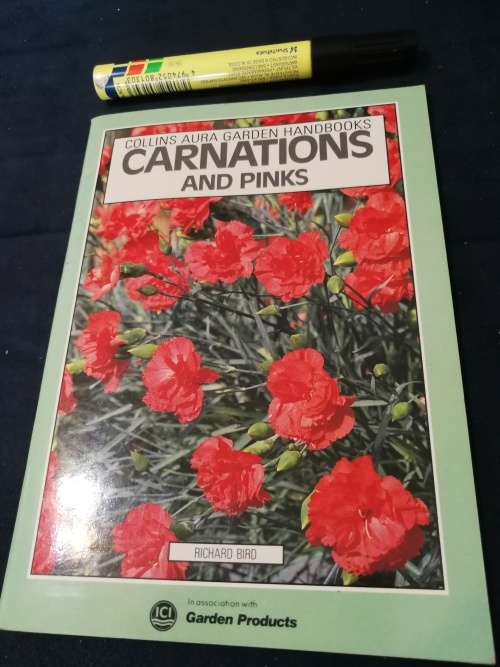 CARNATIONS AND PINKS COLLINS AURA GARDEN HANDBOOKS RICHARD BIRD  growing carnations flowers