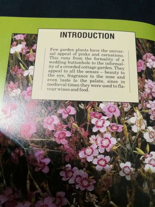CARNATIONS AND PINKS COLLINS AURA GARDEN HANDBOOKS RICHARD BIRD  growing carnations flowers