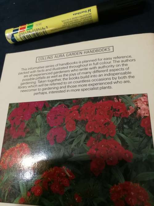 CARNATIONS AND PINKS COLLINS AURA GARDEN HANDBOOKS RICHARD BIRD  growing carnations flowers