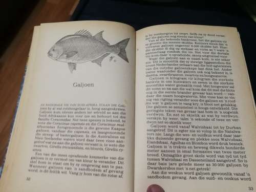 3 X A E van den BERG HENGEL BOEKE ( fishing angling books in Afrikaans )