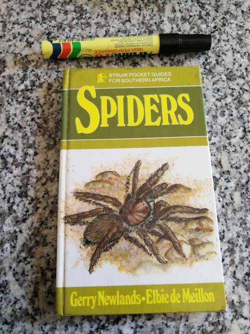 SPIDERS STRUIK POCKET GUIDES FOR SOUTHERN AFRICA GERRY NEWLANDS ELBIE de MEILLON