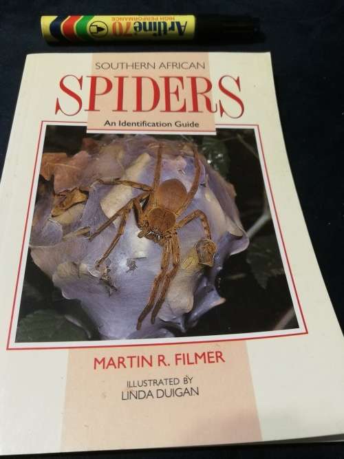 SOUTHERN AFRICAN SPIDERS AN IDENTIFICATION GUIDE MARTIN R FILMER