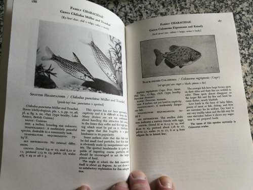 HANDBOOK OF TROPICAL AQUARIUM FISHES Dr HERBERT R AXELROD Dr L P SCHULTZ (  tropical fish )