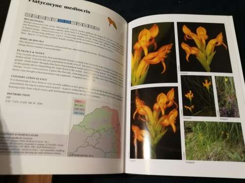 A FIELD GUIDE TO THE ORCHIDS OF NORTHERN SOUTH AFRICA & SWAZILAND DOUGLAS McMURTRY et al wildflowers