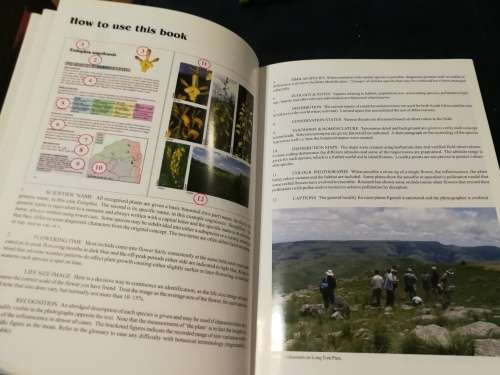 A FIELD GUIDE TO THE ORCHIDS OF NORTHERN SOUTH AFRICA & SWAZILAND DOUGLAS McMURTRY et al wildflowers