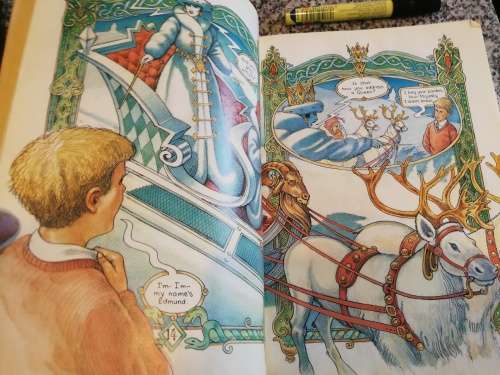THE LION THE WITCH & THE WARDROBE C S LEWIS ROBIN LAWRIE Abridged Illustrated A Graphic Novel