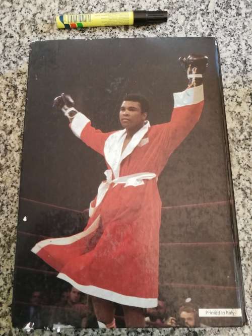 THE ILLUSTRATED HISTORY OF BOXING HARRY MULLAN