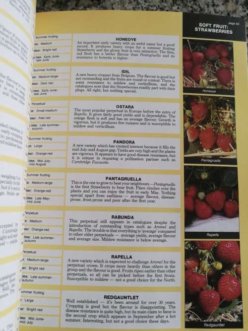 THE FRUIT EXPERT Dr. D G HESSAYON (  a detailed book on the varieties of fruits incl berries