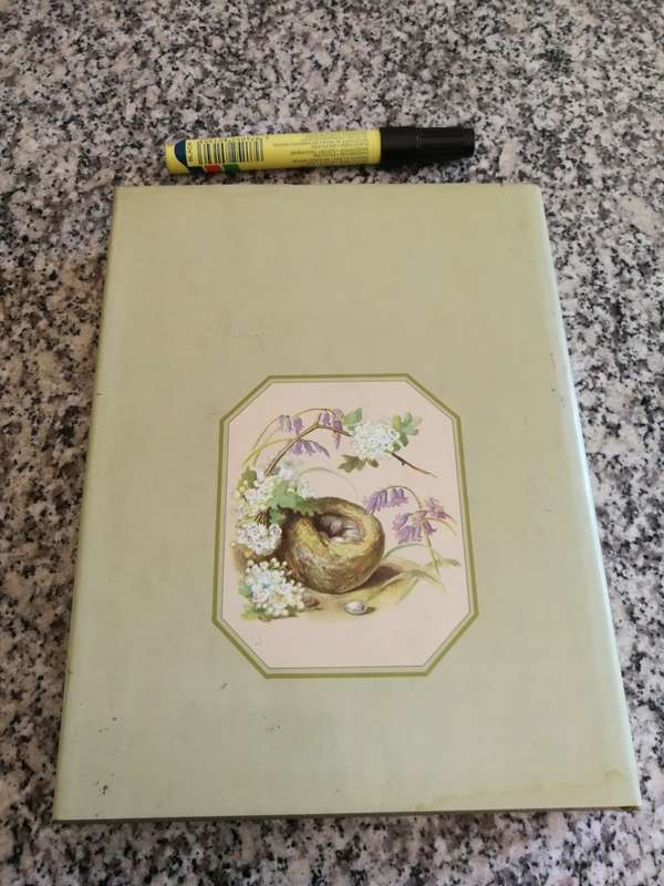 THE EDWARDIAN LADY The Story of Edith Holden Author of THE COUNTRY DIARY OF AN EDWARDIAN LADY