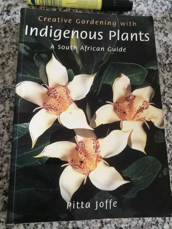CREATIVE GARDENING WITH INDIGENOUS PLANTS A SOUTH AFRICAN GUIDE PITTA JOFFE