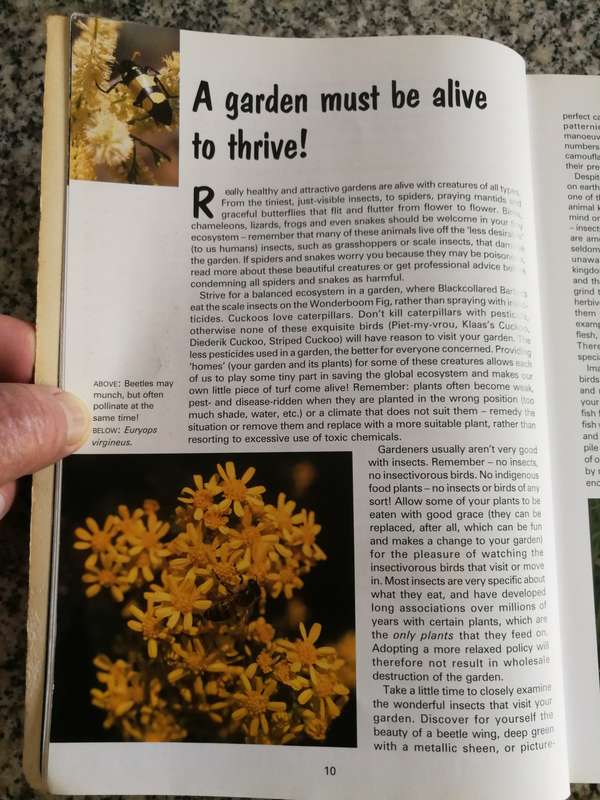 CREATIVE GARDENING WITH INDIGENOUS PLANTS A SOUTH AFRICAN GUIDE PITTA JOFFE