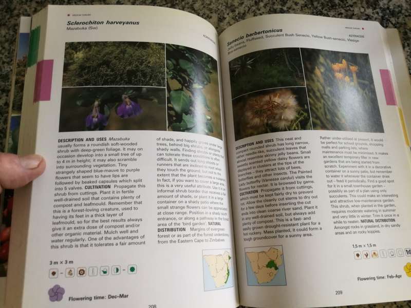 CREATIVE GARDENING WITH INDIGENOUS PLANTS A SOUTH AFRICAN GUIDE PITTA JOFFE
