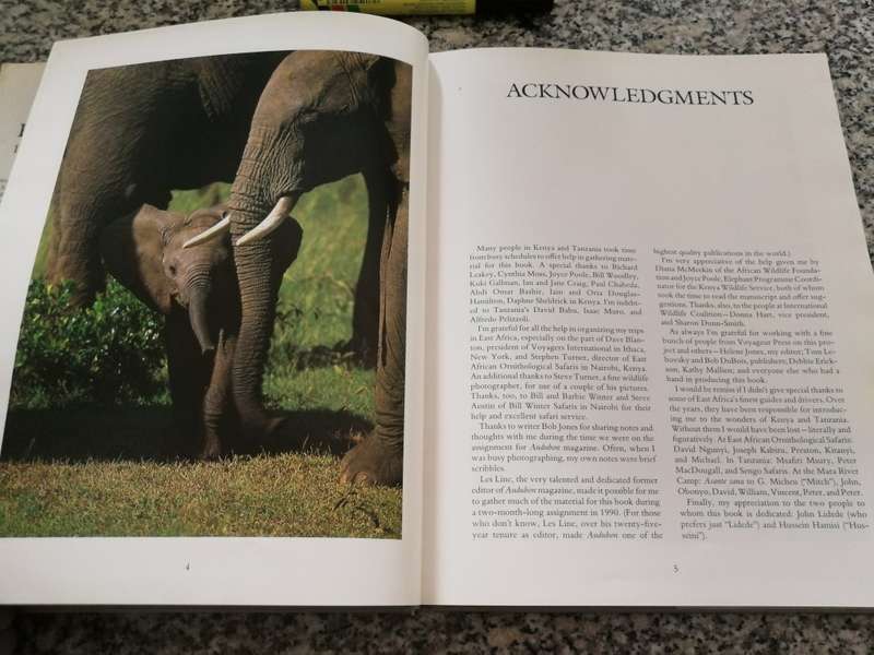 THE AFRICAN ELEPHANT LAST DAYS OF EDEN BOYD NORTON Intro African Wildlife Assoc ( wildlife elephants