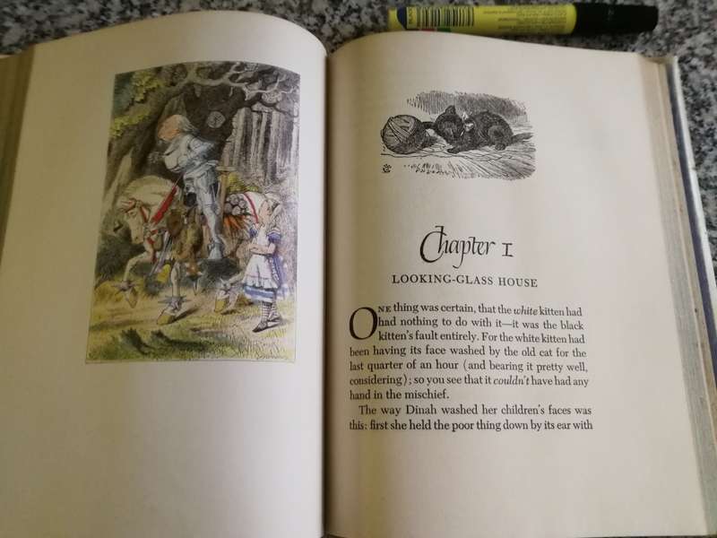 ALICE IN WONDERLAND AND THROUGH THE LOOKING GLASS LEWIS CARROLL 1946