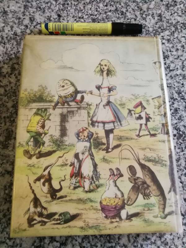ALICE IN WONDERLAND AND THROUGH THE LOOKING GLASS LEWIS CARROLL 1946