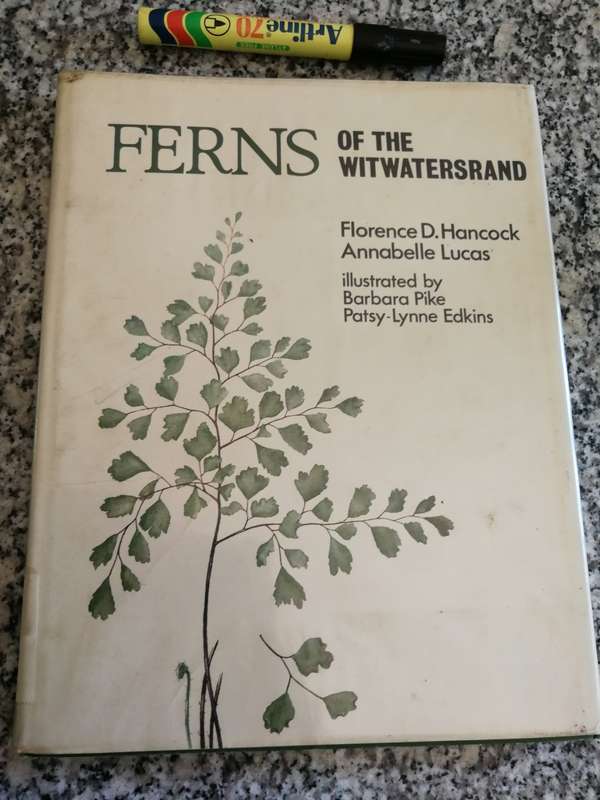 FERNS OF THE WITSWATERSRAND FLORENCE D. HANCOCK (  botany )