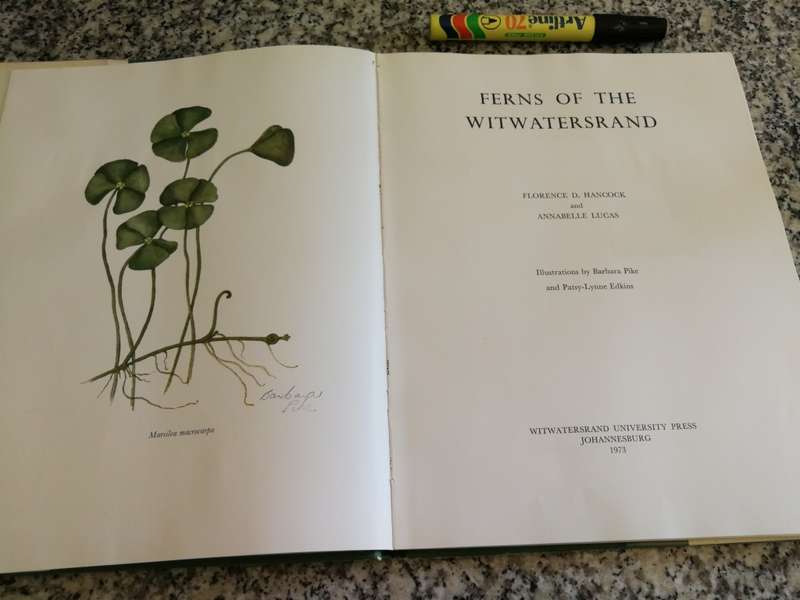 FERNS OF THE WITSWATERSRAND FLORENCE D. HANCOCK (  botany )