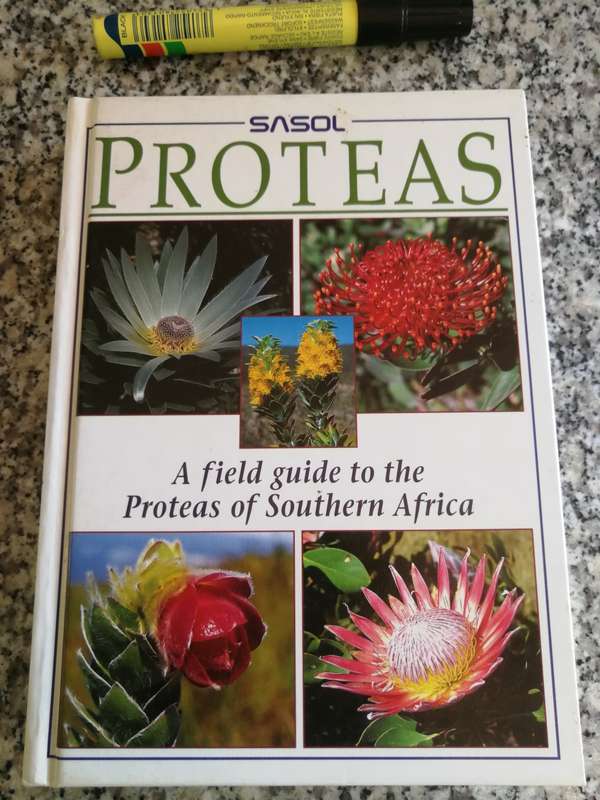 PROTEAS A FIELD GUIDE TO THE PROTEAS OF SOUTHERN AFRICA SASOL TONY REBELO plants growing  flowers