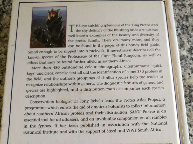PROTEAS A FIELD GUIDE TO THE PROTEAS OF SOUTHERN AFRICA SASOL TONY REBELO plants growing  flowers