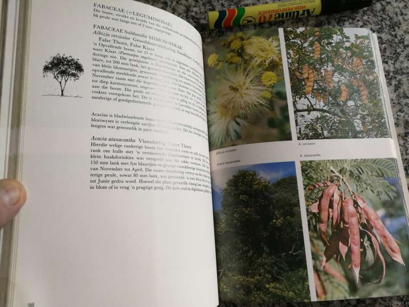 TRANSVAALSE LAEVELD EN PLATORAND insluitend Die Nasionale Krugerwildtuin JO ONDERSTAL Veldblomme