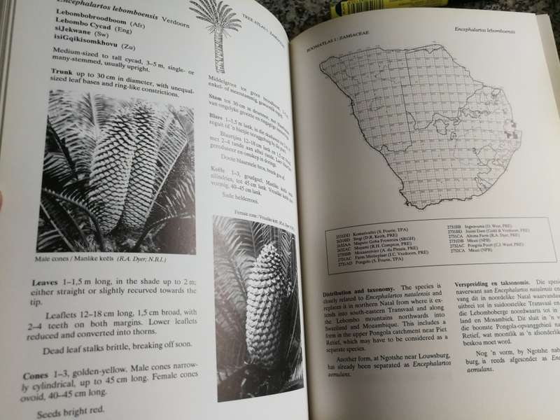TREE ATLAS OF SOUTHERN AFRICA Section 1 Seksie BOOMATLAS VAN SUIDER AFRIKA Cycads