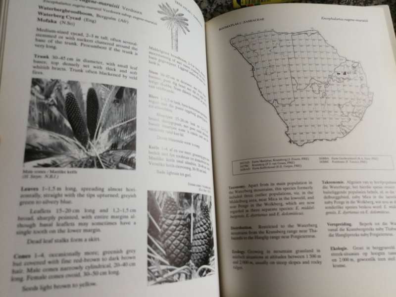TREE ATLAS OF SOUTHERN AFRICA Section 1 Seksie BOOMATLAS VAN SUIDER AFRIKA Cycads