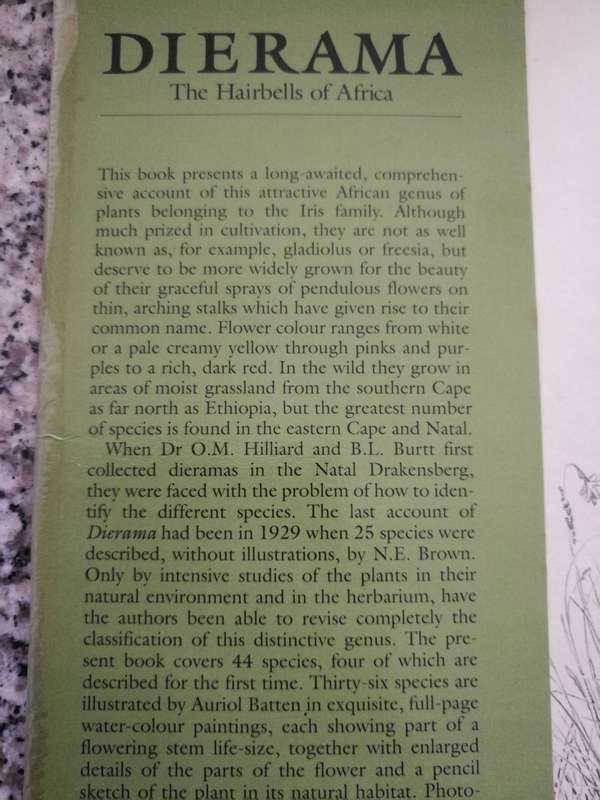 DIERAMA THE HAIRBELLS OF AFRICA O M HILLIARD AND B L BURTT Illustrations AURIOL BATTEN Signed