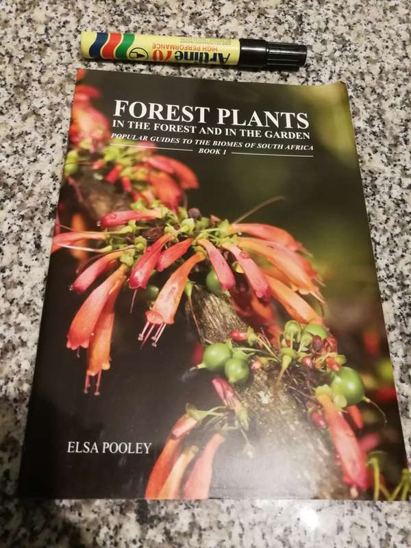 ELSA POOLEY FOREST PLANTS IN THE Forest & in the Gardens Popular Guides Biomes of SOUTH AFRICA