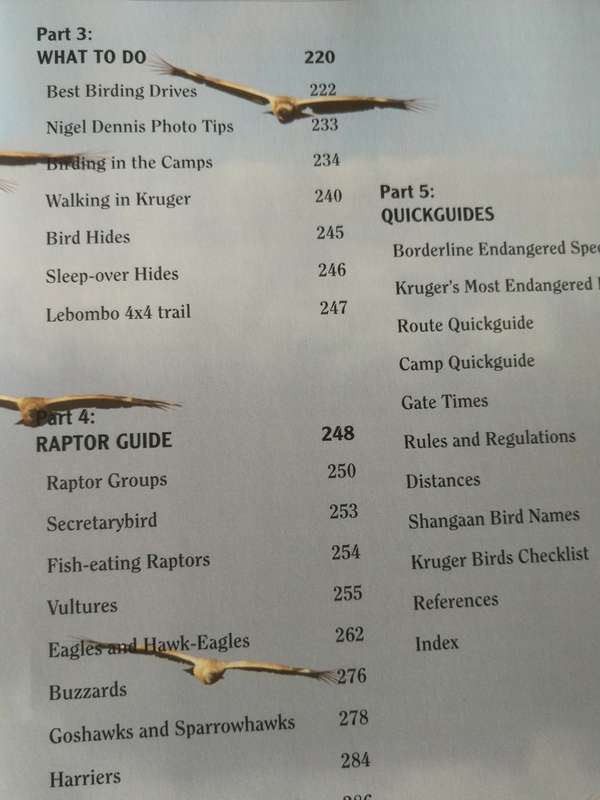 PRIME ORIGINS GUIDE TO BEST BIRDING IN KRUGER The Essential Companion BRETT HILTON-BARBER SASOL