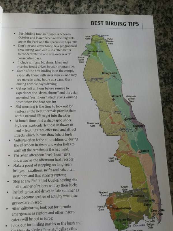 PRIME ORIGINS GUIDE TO BEST BIRDING IN KRUGER The Essential Companion BRETT HILTON-BARBER SASOL