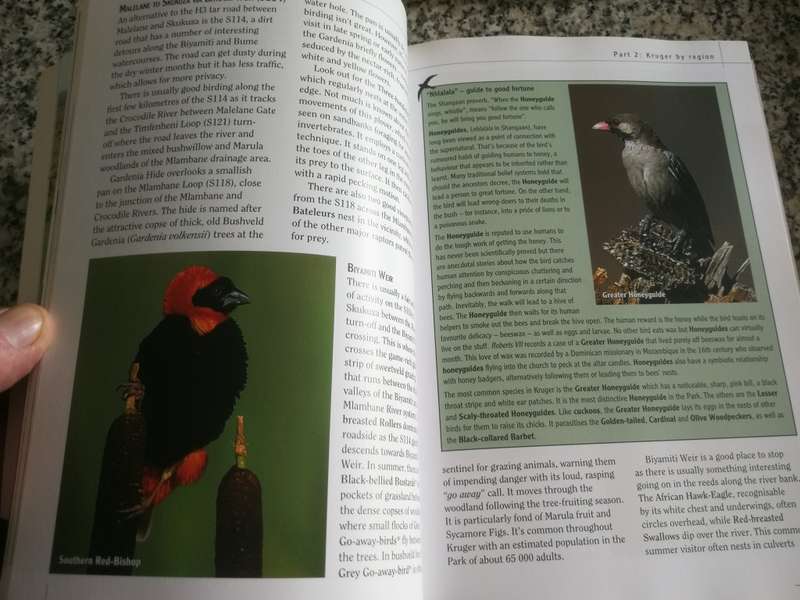 PRIME ORIGINS GUIDE TO BEST BIRDING IN KRUGER The Essential Companion BRETT HILTON-BARBER SASOL