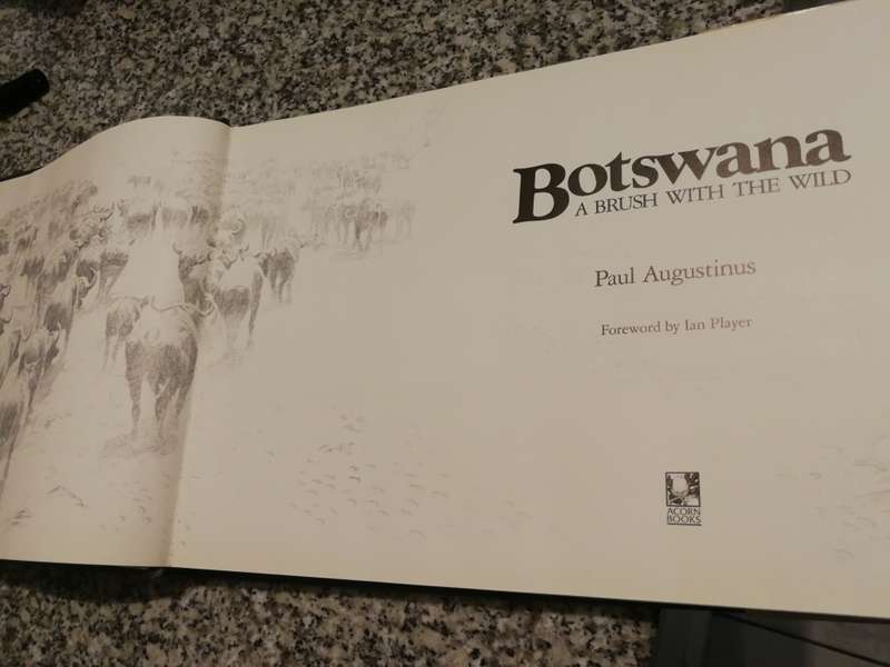 BOTSWANA A BRUSH WITH THE WILD PAUL AUGUSTINUS Foreword by Ian Player  ( wildlife )