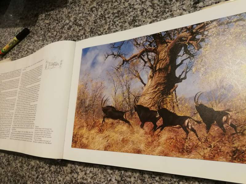 BOTSWANA A BRUSH WITH THE WILD PAUL AUGUSTINUS Foreword by Ian Player  ( wildlife )