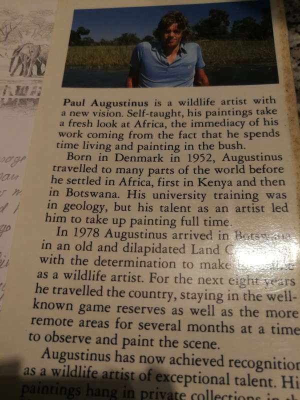 BOTSWANA A BRUSH WITH THE WILD PAUL AUGUSTINUS Foreword by Ian Player  ( wildlife )