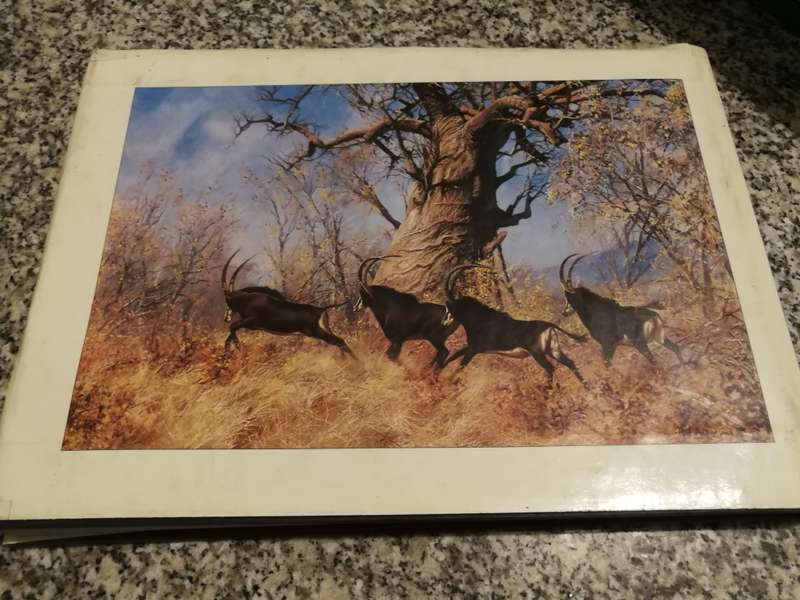 BOTSWANA A BRUSH WITH THE WILD PAUL AUGUSTINUS Foreword by Ian Player  ( wildlife )