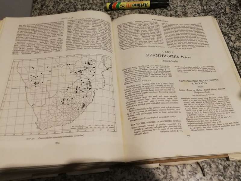 SNAKES OF SOUTHERN AFRICA VIVIAN F M FITZSIMONS ( poor dust jacket )