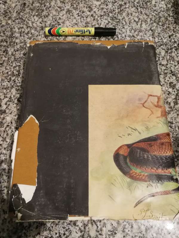 SNAKES OF SOUTHERN AFRICA VIVIAN F M FITZSIMONS ( poor dust jacket )
