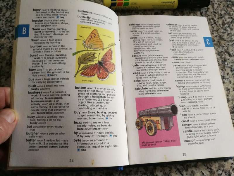 LADYBIRD DICTIONARY with Illustrations nearly 4000 words for children of 8 and upwards