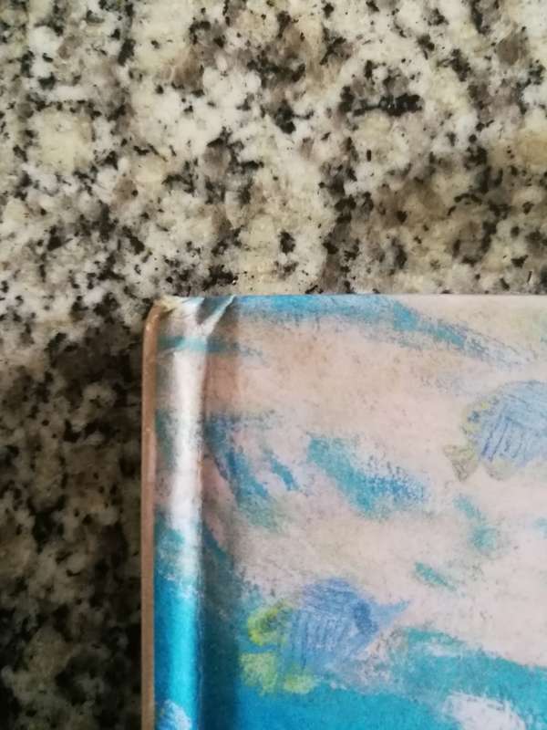 THE LITTLE MERMAID HANS CHRISTIAN ANDERSEN Walker Books 2009