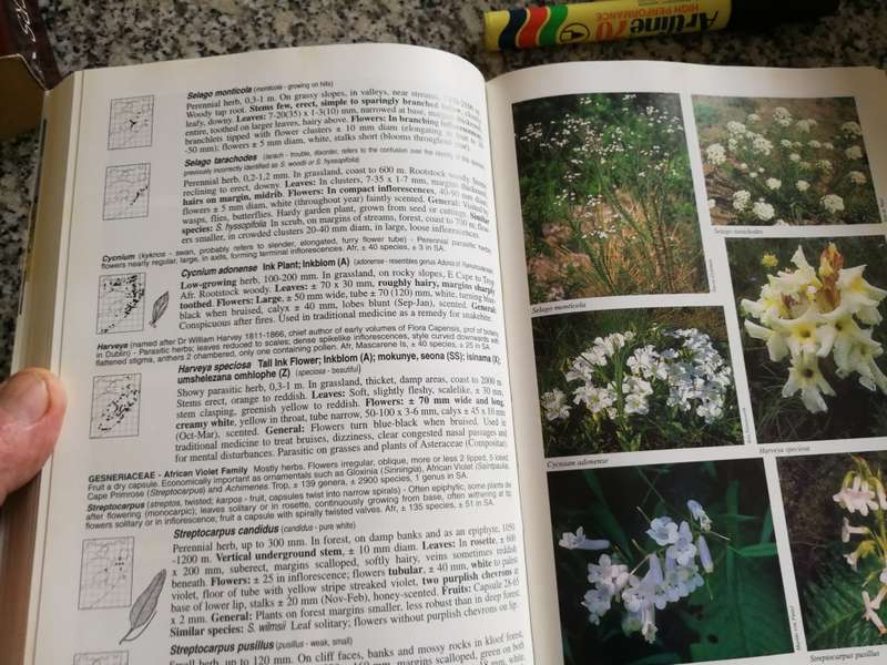 A FIELD GUIDE TO WILD FLOWERS KWAZULU NATAL & the Eastern Region ELSA POOLEY hardcover wild flowers
